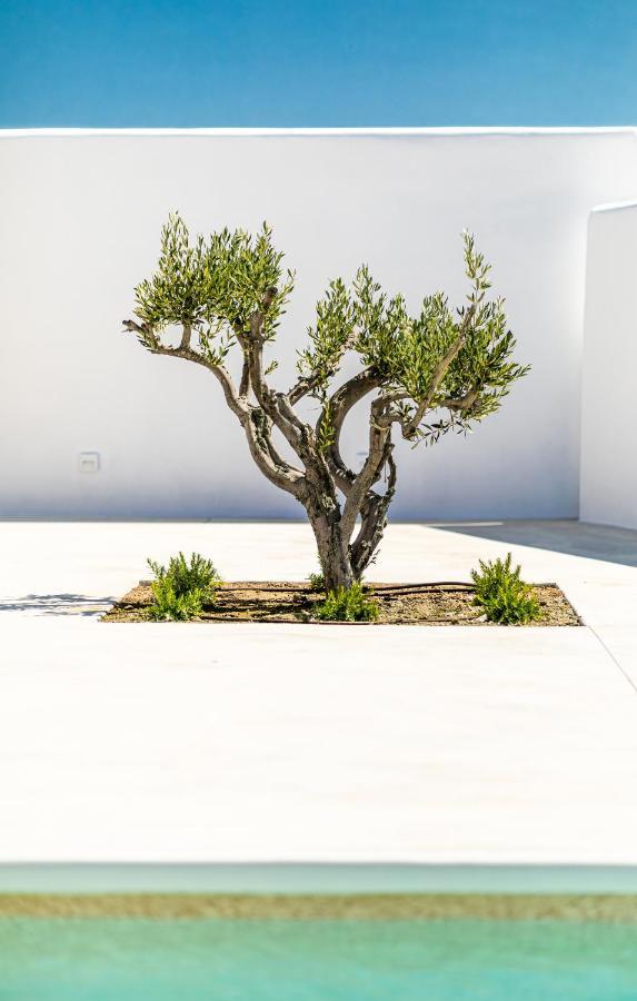 Petradia Villas Agia Anna  外观 照片